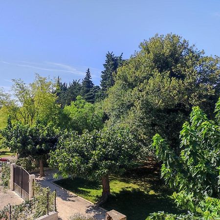Mas Provencal Au Coeur Des Vergers Vallabrègues Zewnętrze zdjęcie