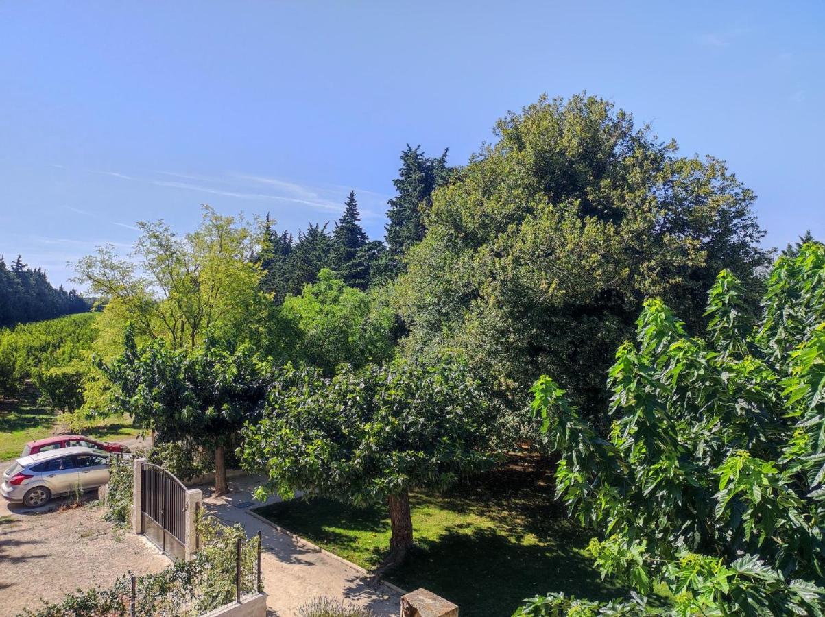 Mas Provencal Au Coeur Des Vergers Vallabrègues Zewnętrze zdjęcie